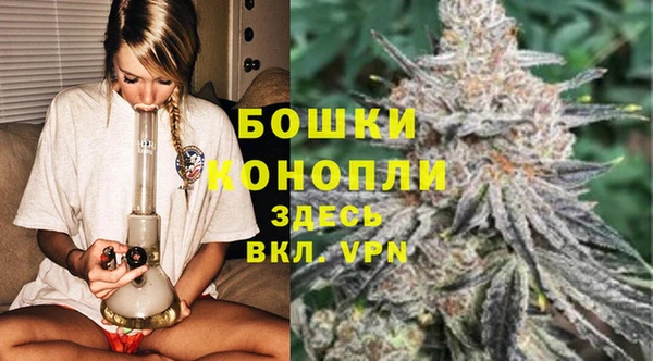 ECSTASY Новозыбков