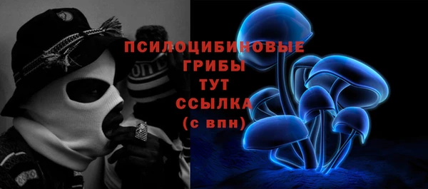 ECSTASY Новозыбков